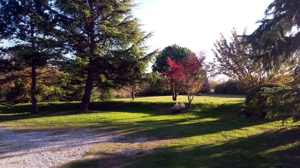 Al Campo Di Sotto Bed & Breakfast Bed & Breakfast Buia المظهر الخارجي الصورة