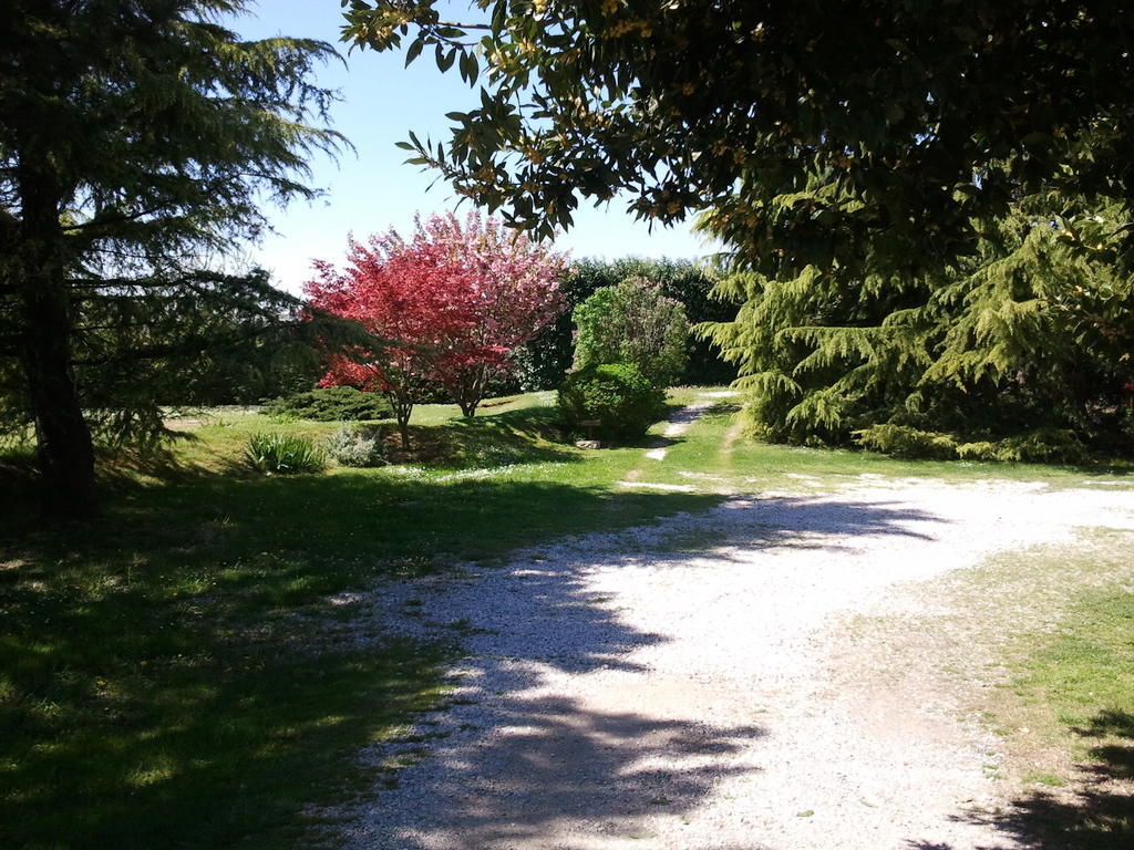 Al Campo Di Sotto Bed & Breakfast Bed & Breakfast Buia المظهر الخارجي الصورة